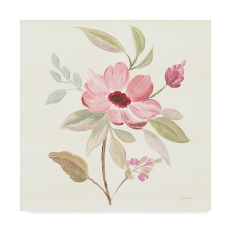 Silvia Vassileva 'Petals And Blossoms Vi' Canvas Art,24x24